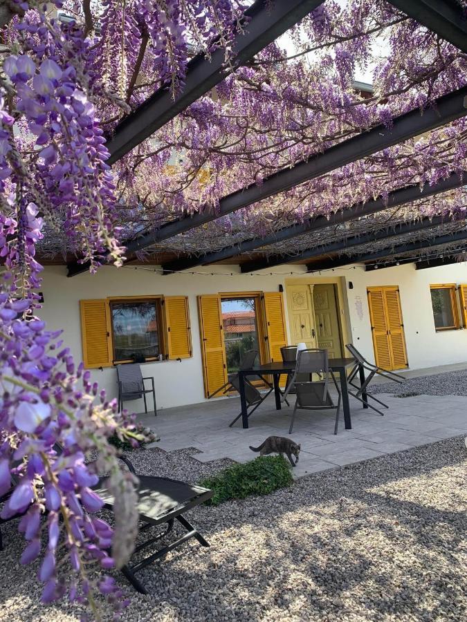 Ferienwohnung House Wisteria Kostanjevica na Krasu Exterior foto