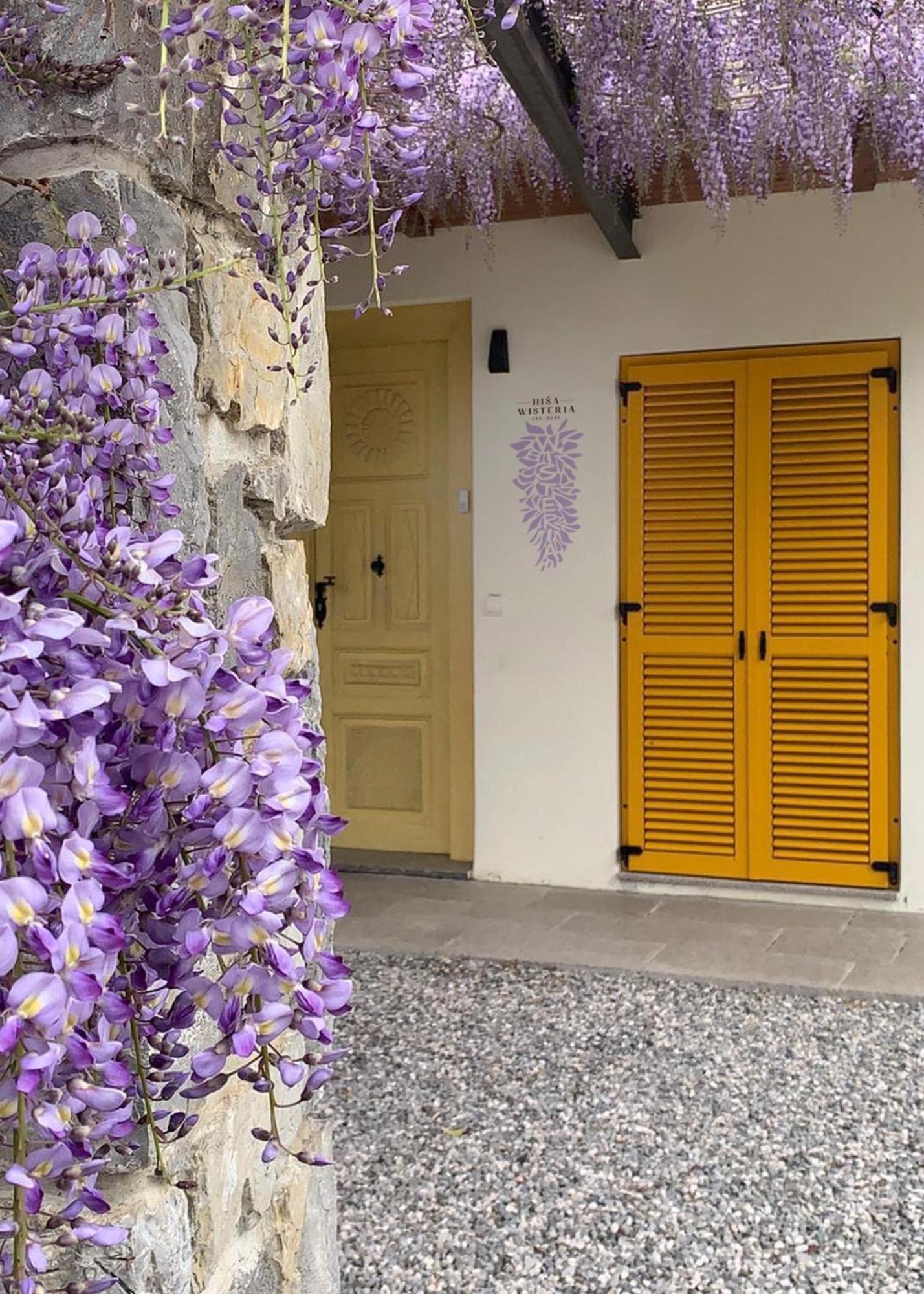 Ferienwohnung House Wisteria Kostanjevica na Krasu Exterior foto
